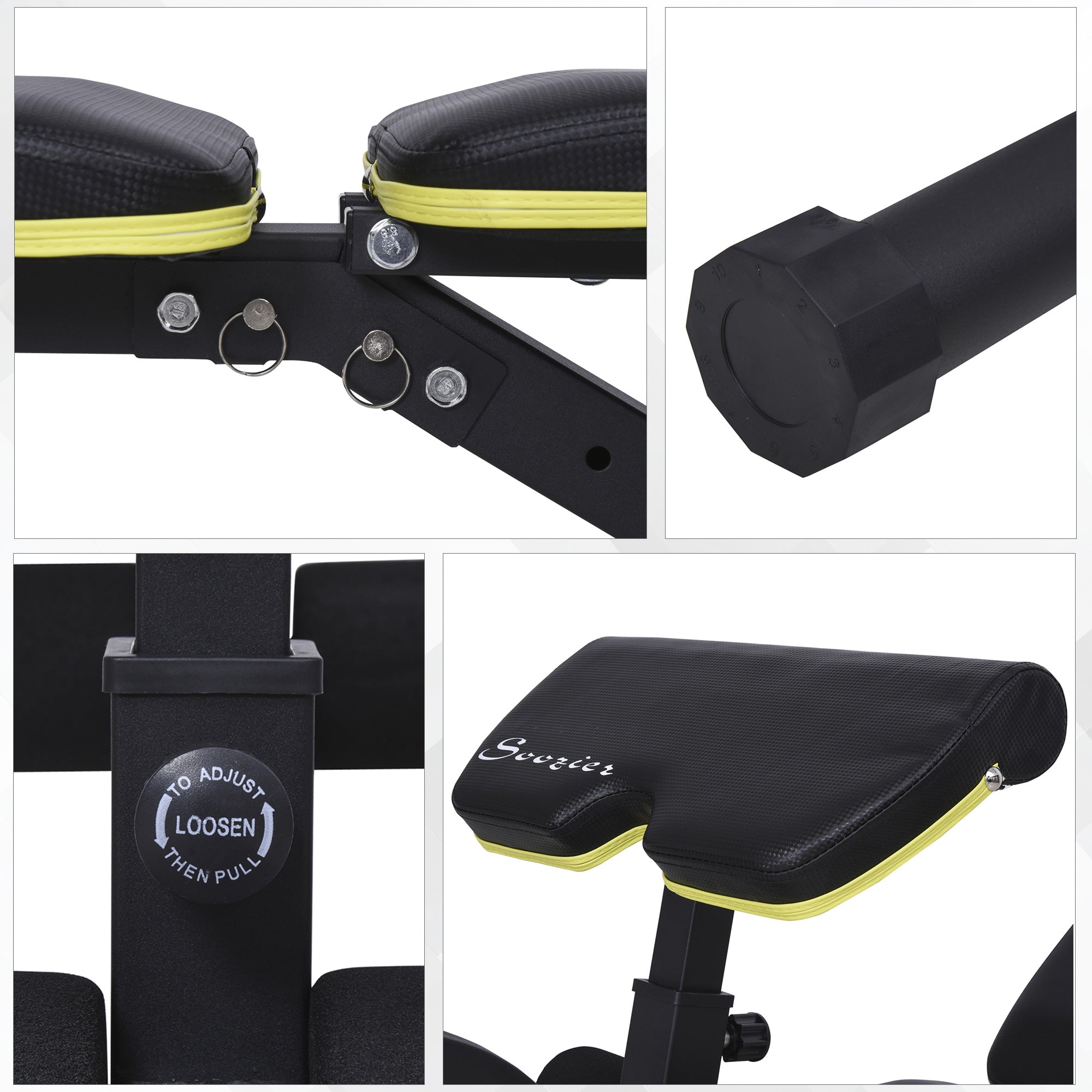 Adjustable Workout Bench with Leg Extension and Curl