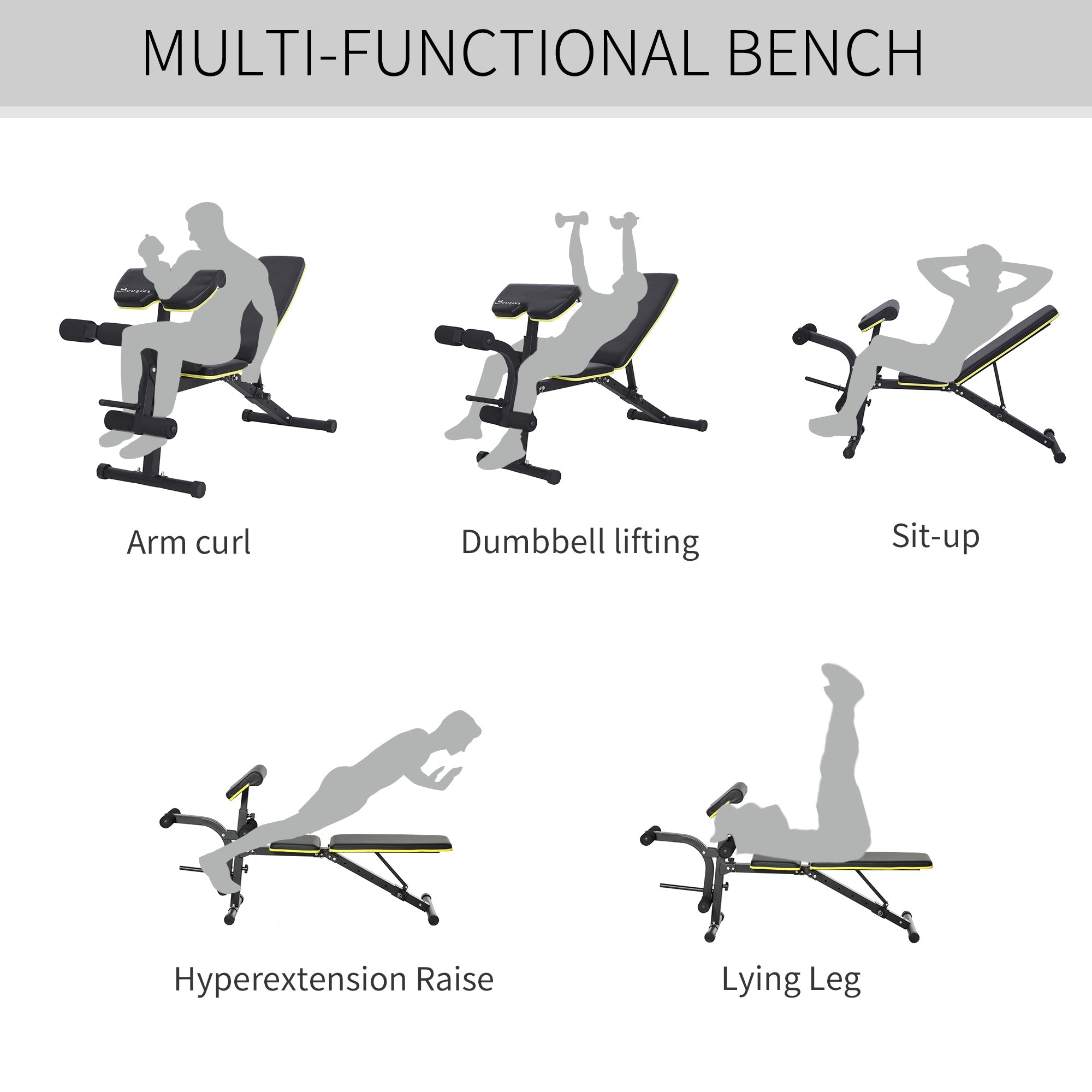 Adjustable Workout Bench with Leg Extension and Curl