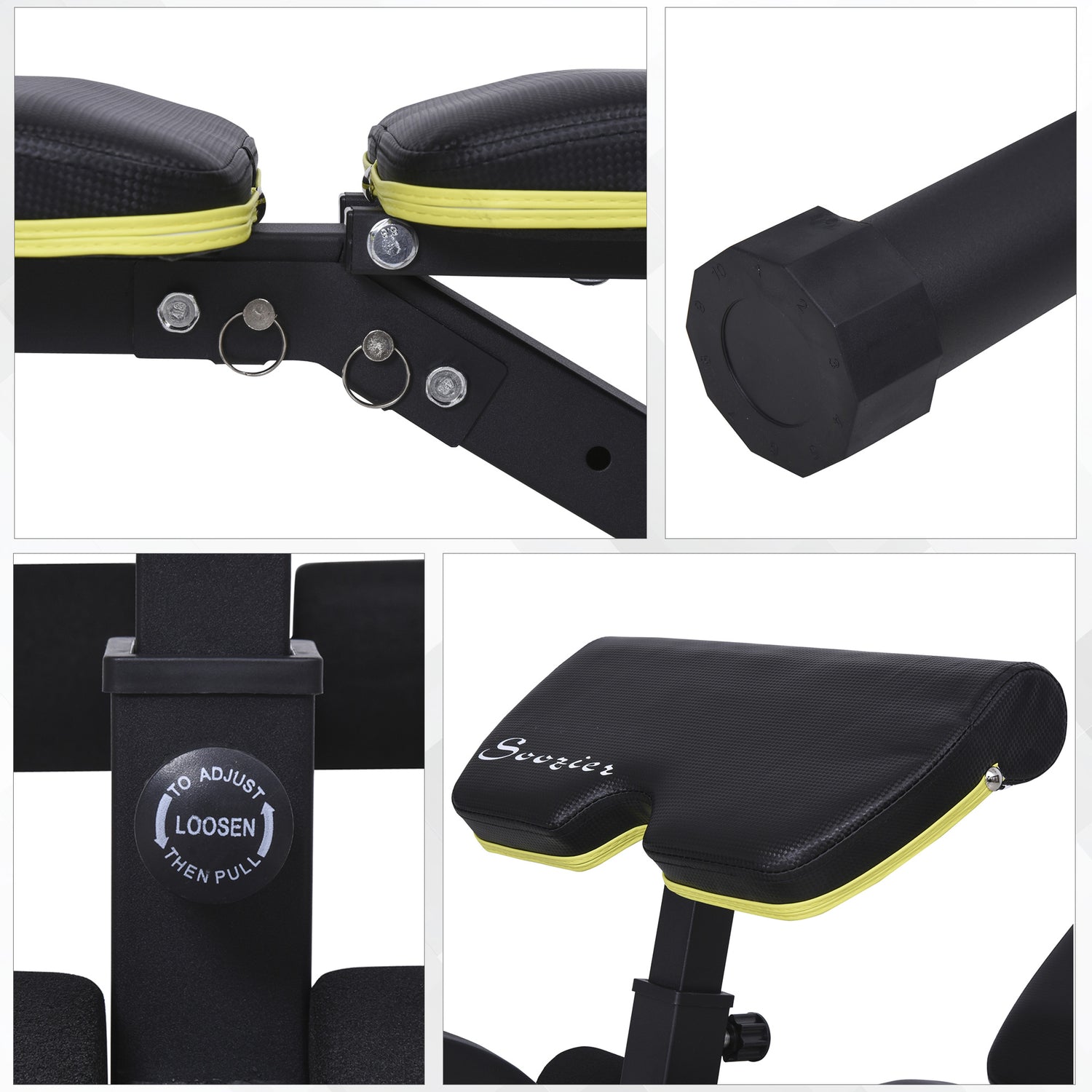 Adjustable Workout Bench with Leg Extension and Curl