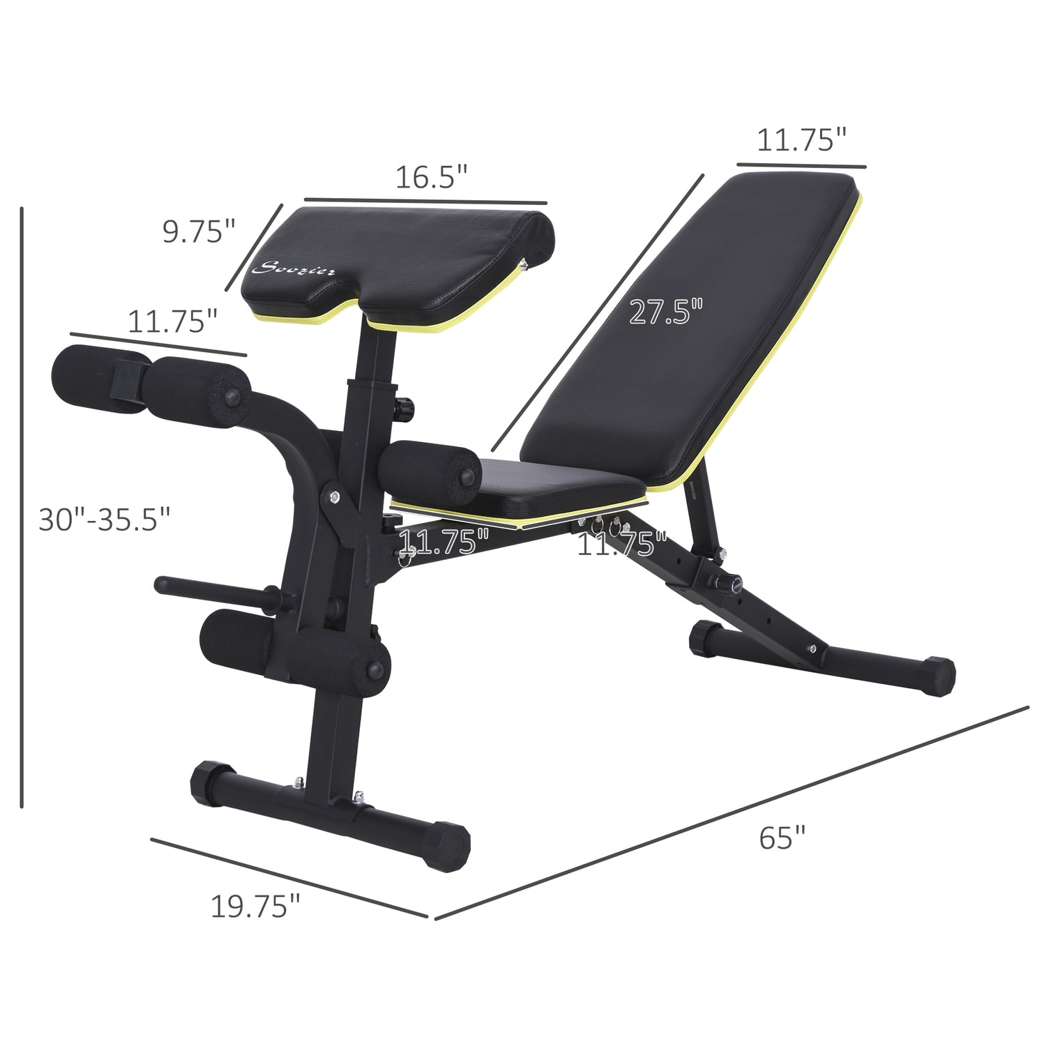 Adjustable Workout Bench with Leg Extension and Curl