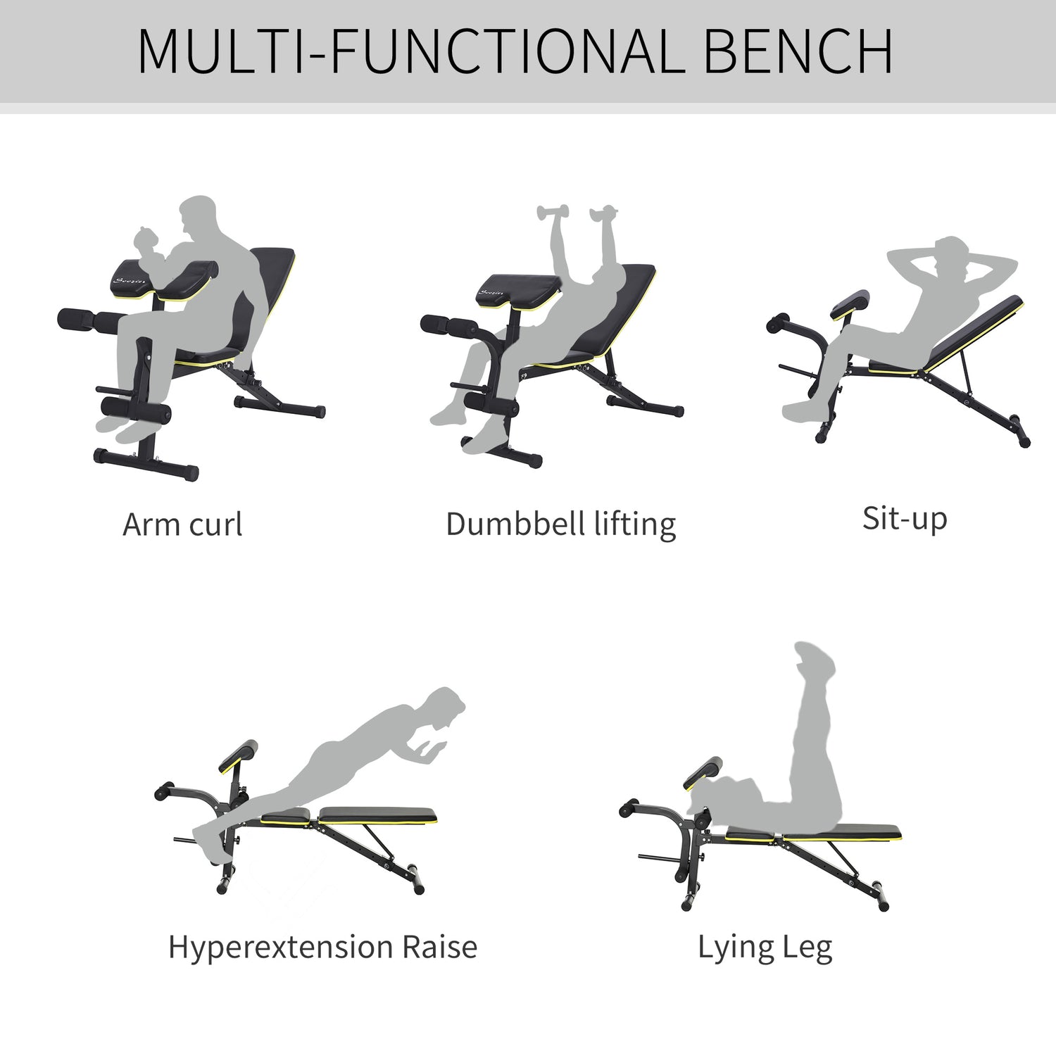 Adjustable Workout Bench with Leg Extension and Curl